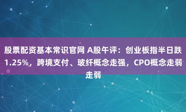 股票配资基本常识官网 A股午评：创业板指半日跌1.25%，跨境支付、玻纤概念走强，CPO概念走弱