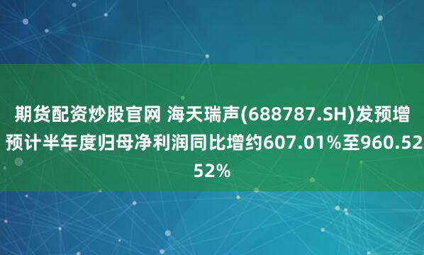 期货配资炒股官网 海天瑞声(688787.SH)发预增，预计半年度归母净利润同比增约607.01%至960.52%
