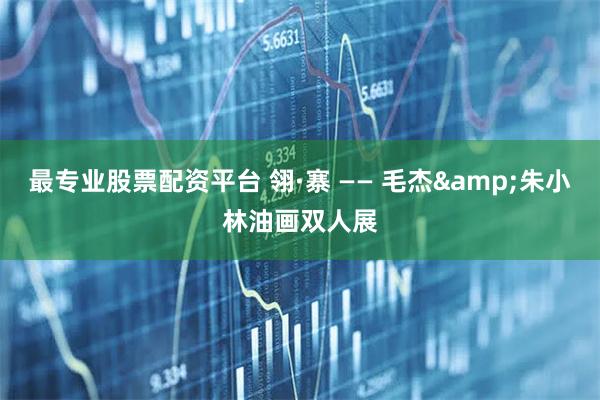 最专业股票配资平台 翎·寨 —— 毛杰&朱小林油画双人展
