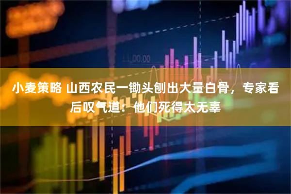 小麦策略 山西农民一锄头刨出大量白骨，专家看后叹气道：他们死得太无辜